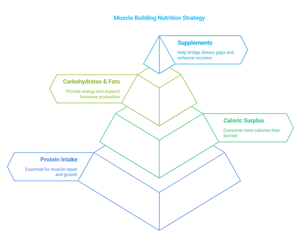 Nutrition for Muscle Building