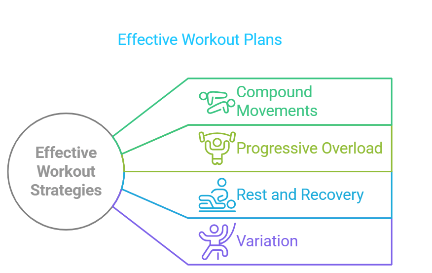 WellHealth's How to Build Muscle Tag: Effective Workout Plans